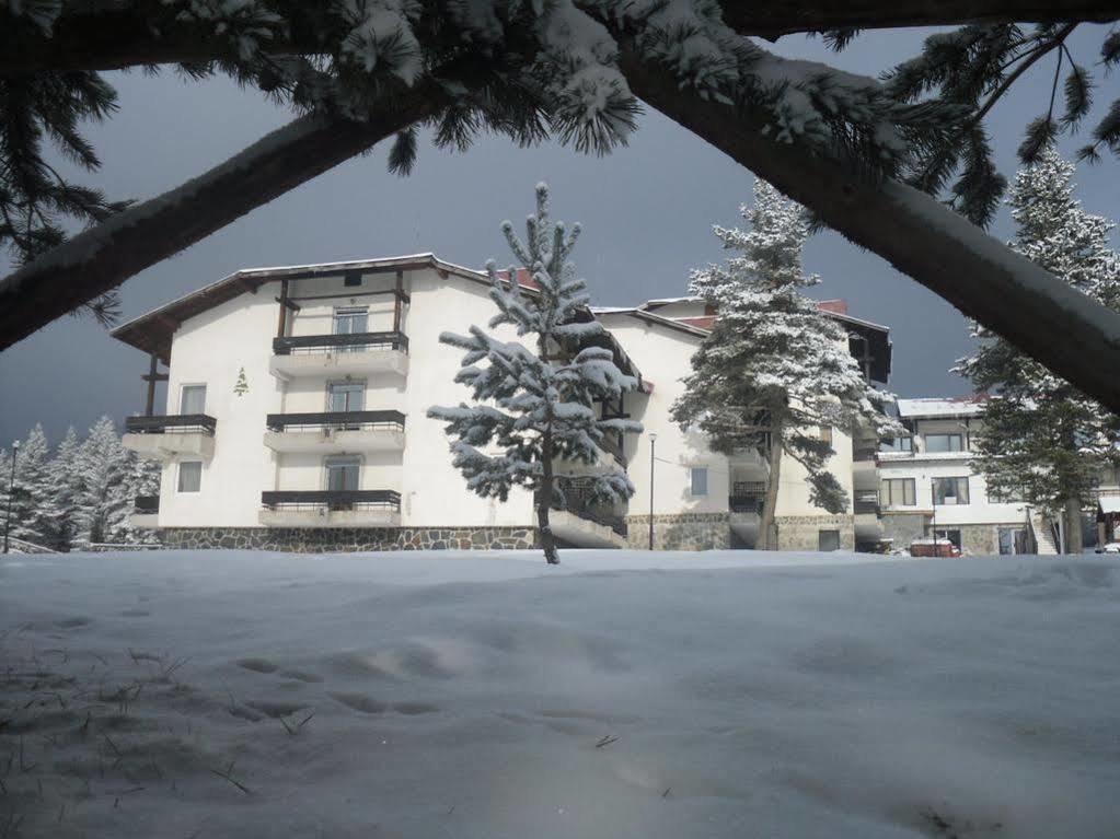 Bor Hotel Belitsa  Екстер'єр фото
